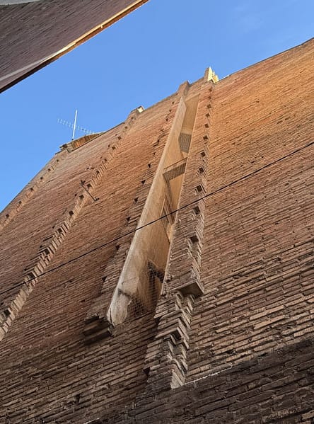 instalacion-de-pinchos-y-redes-anti-aves-4