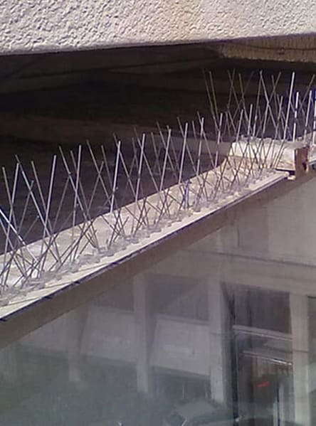 instalacion-de-pinchos-y-redes-anti-aves-5