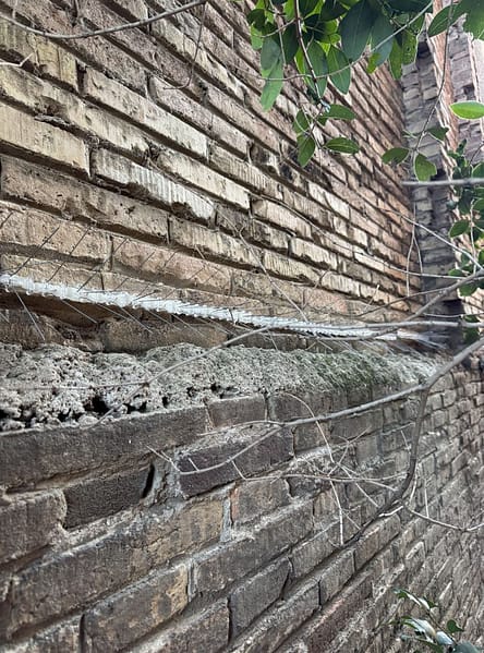 instalacion-de-pinchos-y-redes-anti-aves-7